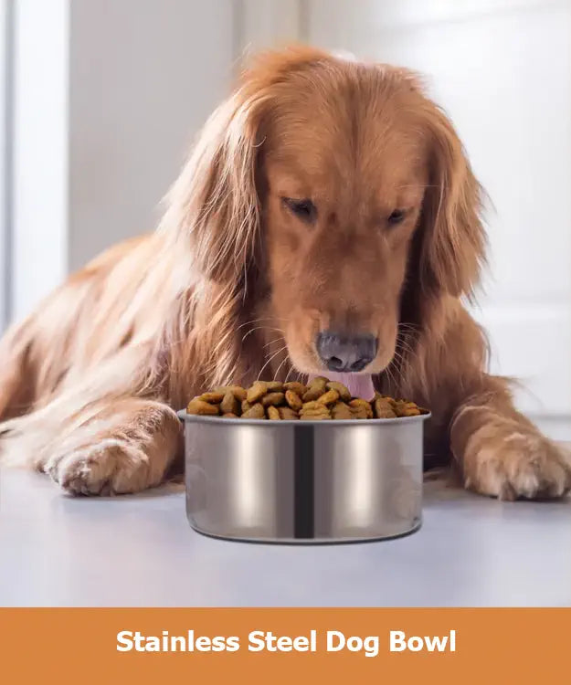 Dog eating from a stainless steel dog bowl on a white surface.