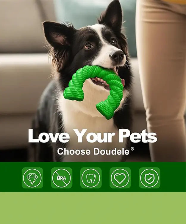 Dog holding a green rope toy with 'Love Your Pets Choose Doudele' text and logo.