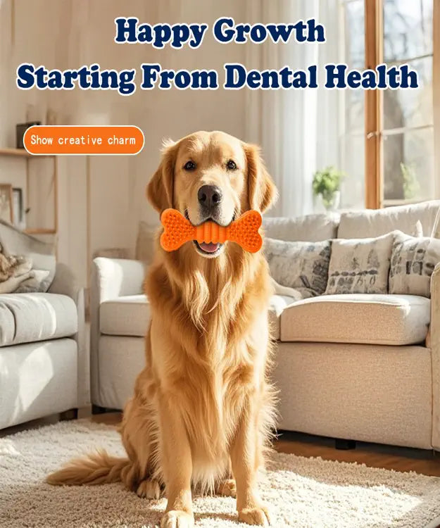 Dog sitting on a rug in a living room with a dental health toy, surrounded by text about dental health.