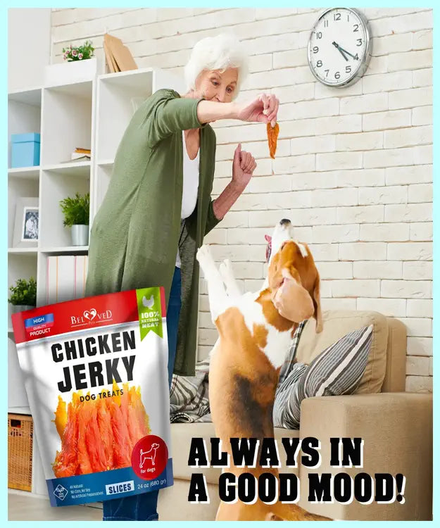 Woman feeding a dog a treat with a package of chicken jerky in the foreground.