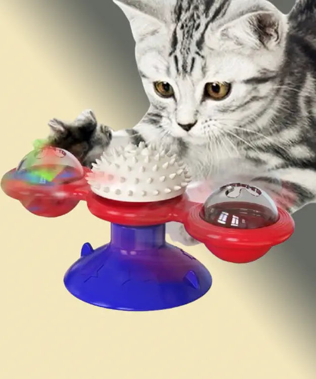 Cat playing with a colorful spinning toy on a beige background