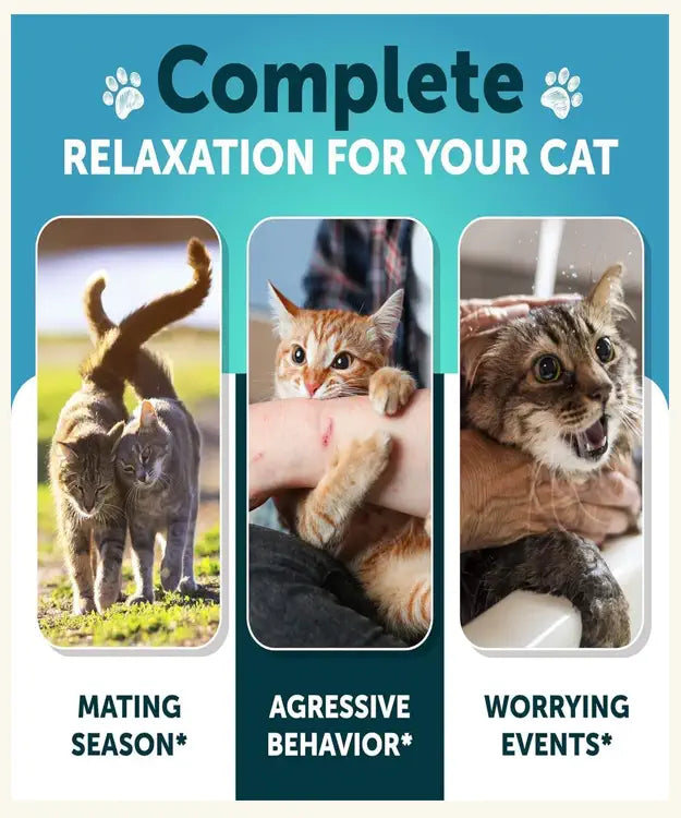 Advertisement for Complete relaxation product for cats with images of cats in different situations.