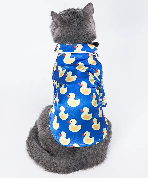 Cat wearing a blue shirt with yellow duck patterns on a white background