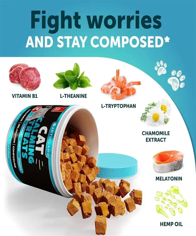 Cat treats with health benefits labeled on a white background