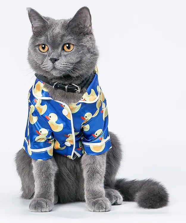 Cat wearing a blue shirt with duck pattern on a white background