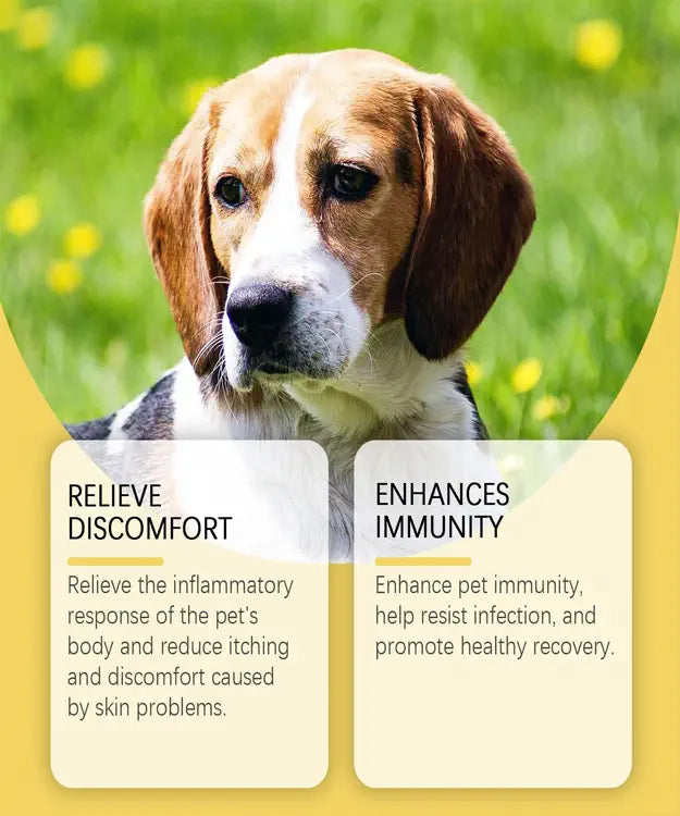 Dog in a grassy field with text about relieving discomfort and enhancing immunity.