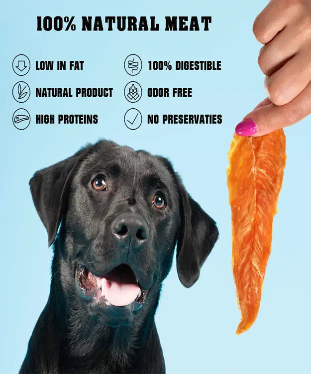 Black dog looking at a piece of fish with text about 100% natural meat products on a blue background.