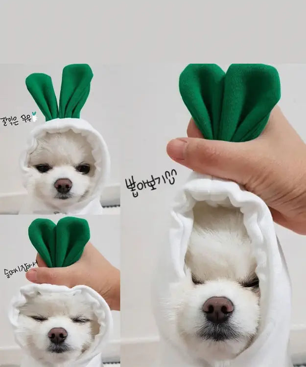 Dog wearing a green leaf-shaped headband with a hand holding another similar headband against a white background.