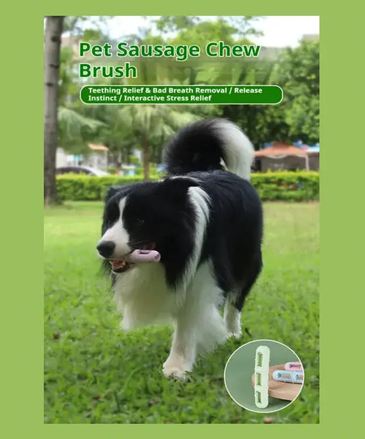 Dog chewing on a pet sausage chew brush with a green background