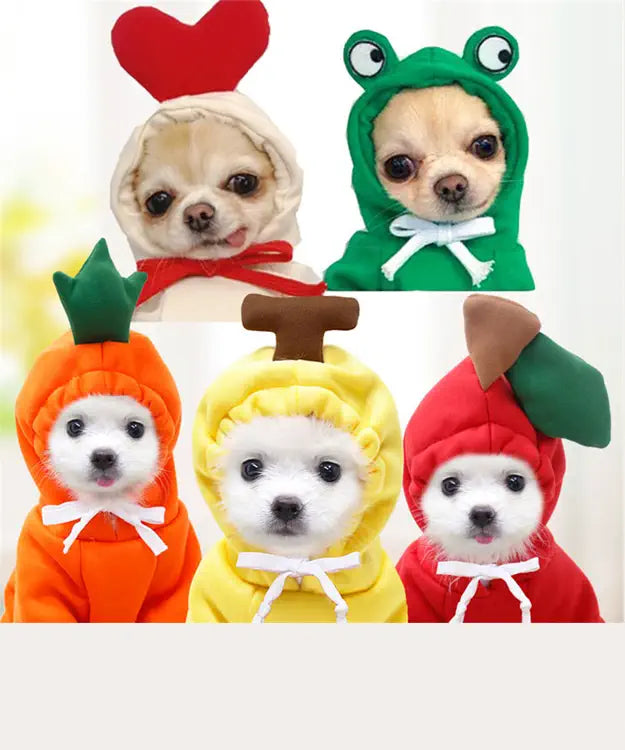 Five small dogs wearing colorful animal-themed costumes on a white background