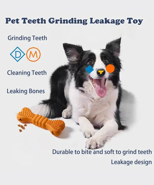 Dog with a teeth grinding leakage toy on a white background