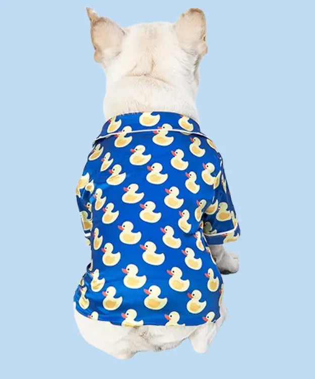 Dog wearing a blue pajama with yellow duck pattern on a light blue background