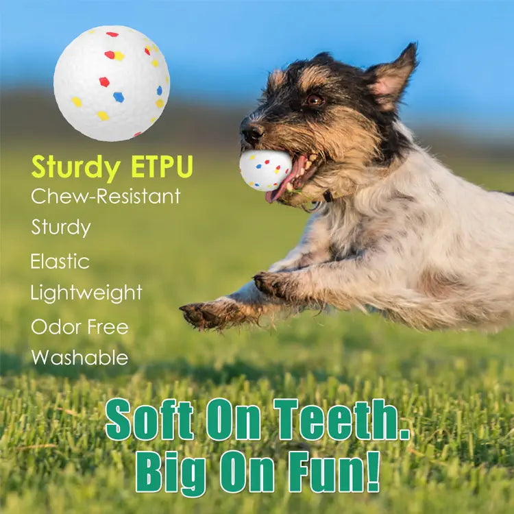 Dog playing with a colorful ball on grass, with product features listed.