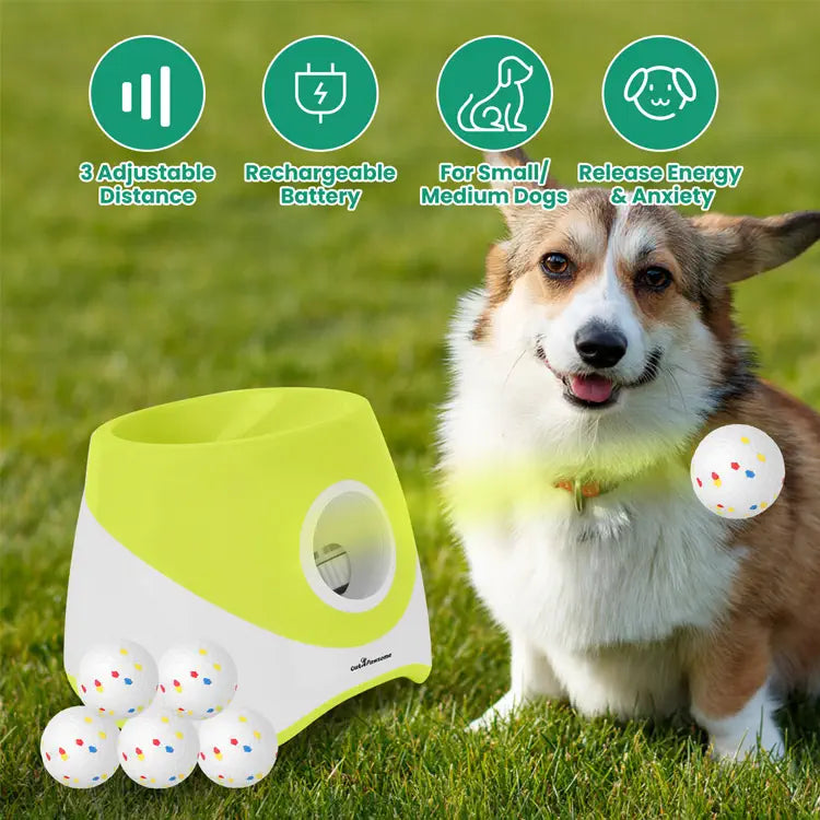 Dog toy dispenser with balls and a dog on grass, featuring product features.