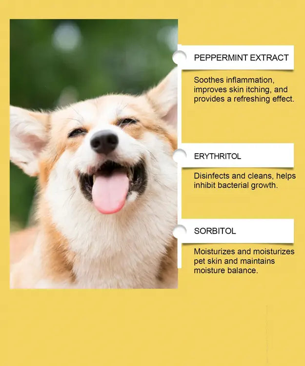 Dog with a yellow background and text about peppermint extract, erythritol, and sorbitol benefits.