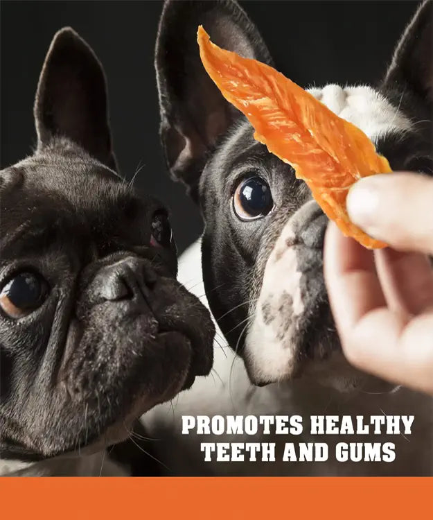 Two dogs looking at a carrot chip with text promoting dental health.
