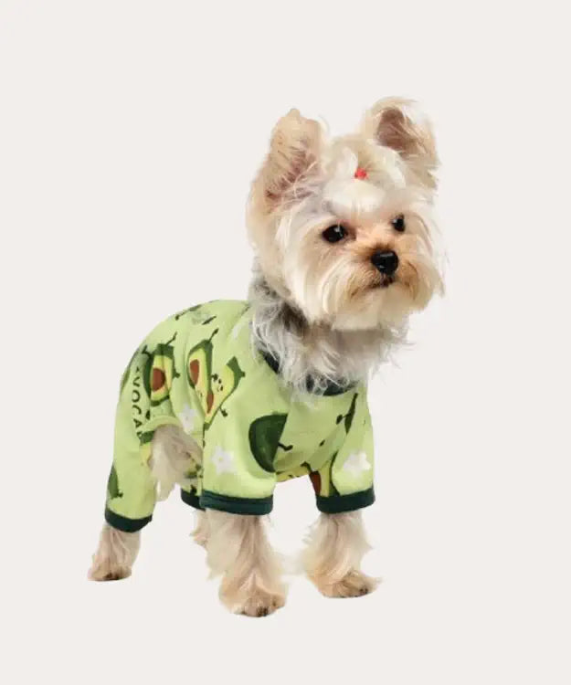 Dog wearing a green avocado-patterned outfit on a white background