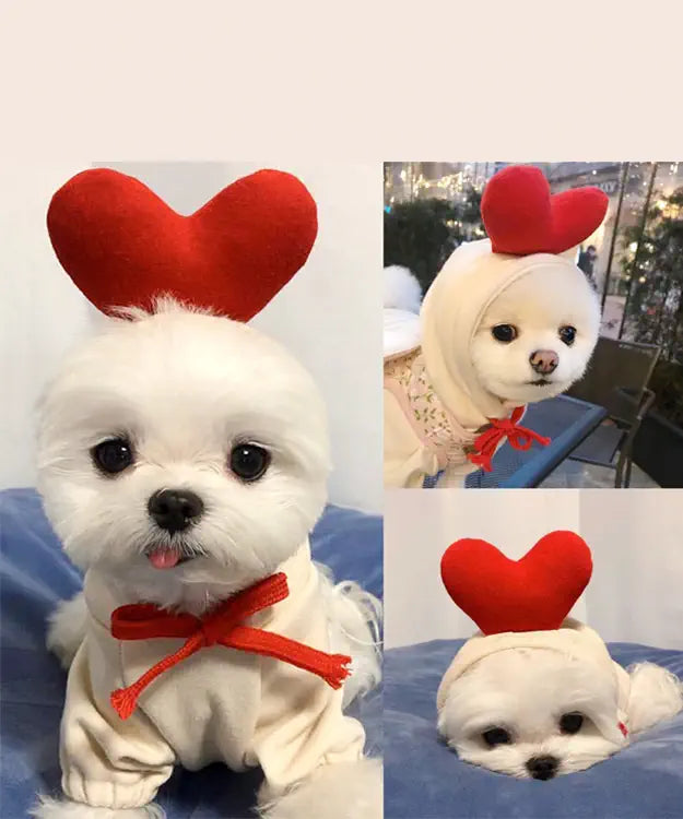 White dog wearing a red heart-shaped headband and bow tie on a blue blanket.