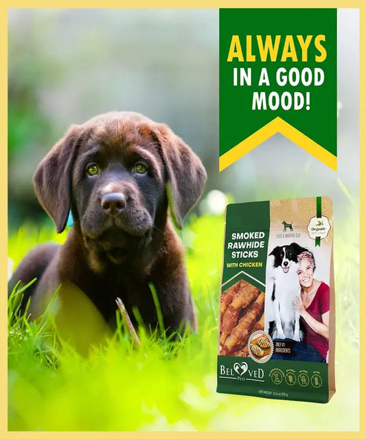 Dog with a chew stick and a package of dog treats in the grass, with text 'Always in a Good Mood'.