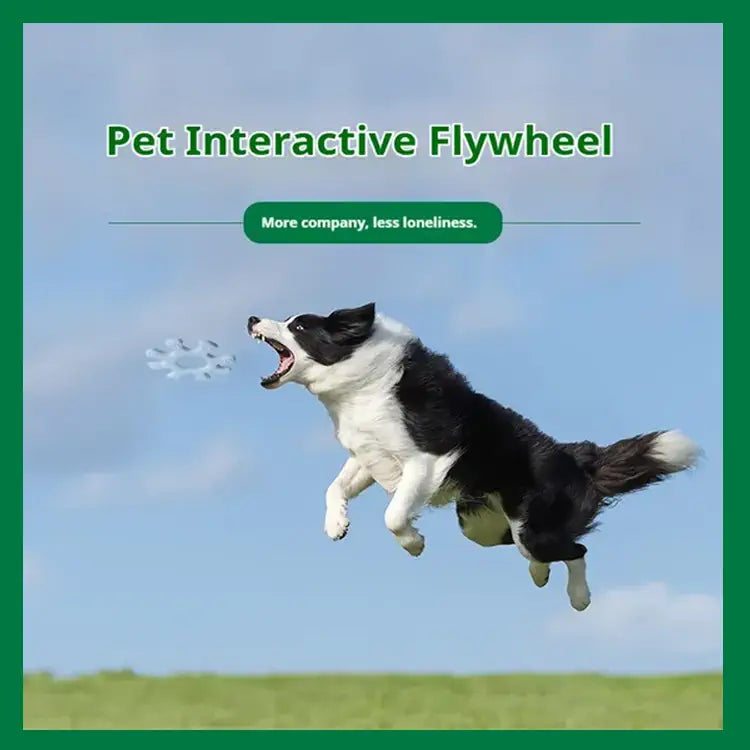 Dog flying through the air with text 'Pet Interactive Flywheel' and 'More company, less loneliness.'