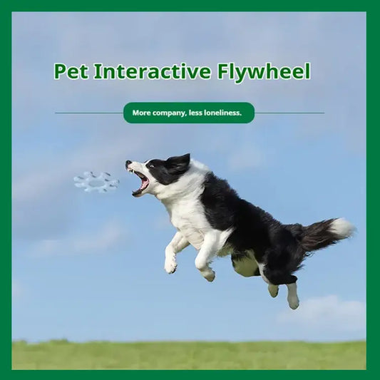 Dog flying through the air with text 'Pet Interactive Flywheel' and 'More company, less loneliness.'