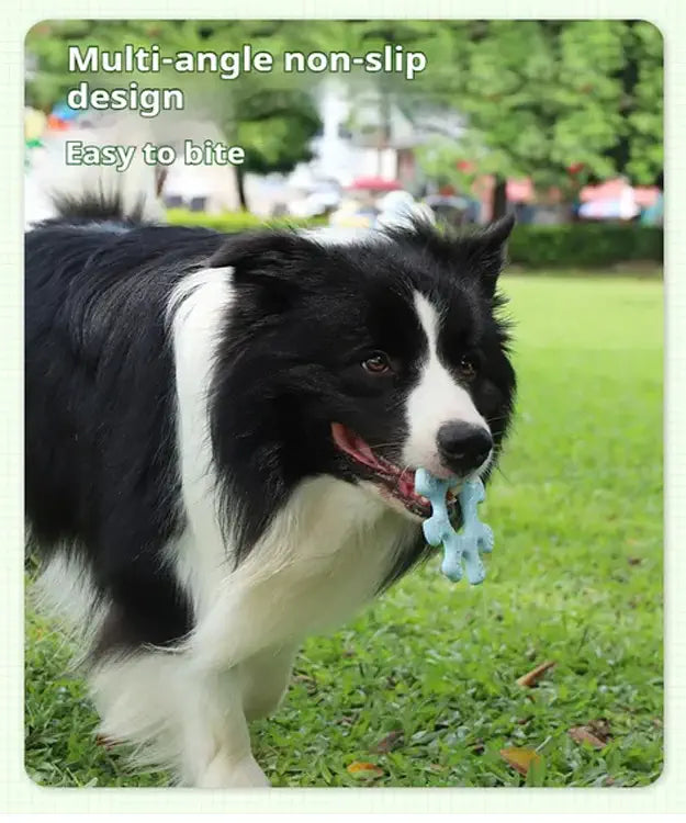 Dog with a blue chew toy on grass, text about non-slip design and ease of biting.