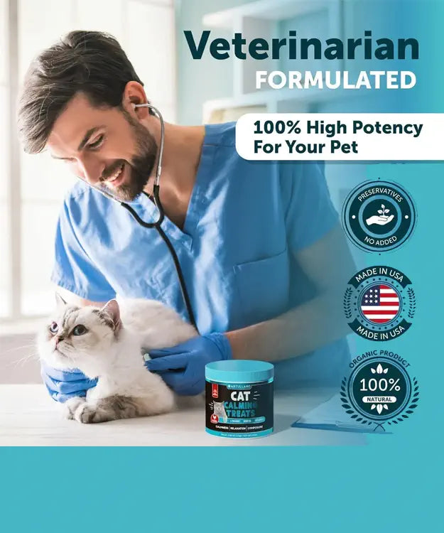 Veterinarian examining a cat with a product for pets on a blue background