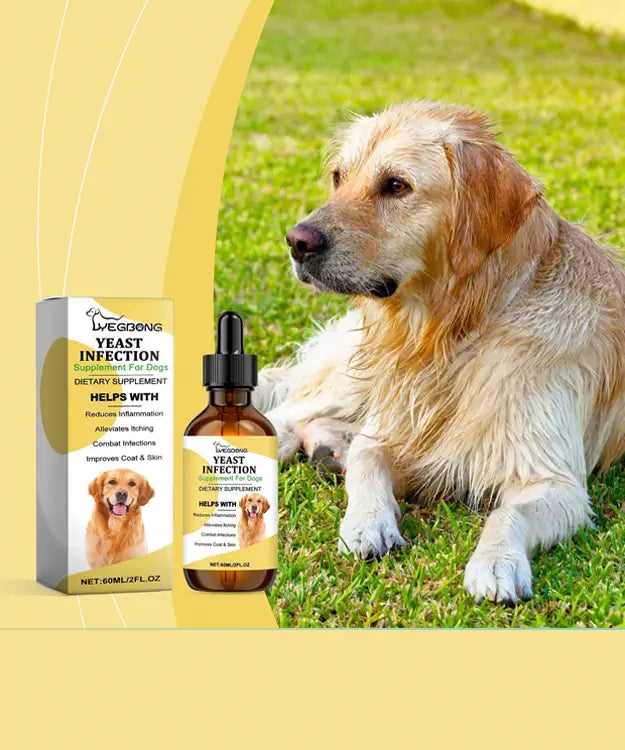 Dog lying on grass next to a bottle and box of WEGOING Yeast Infection supplement.