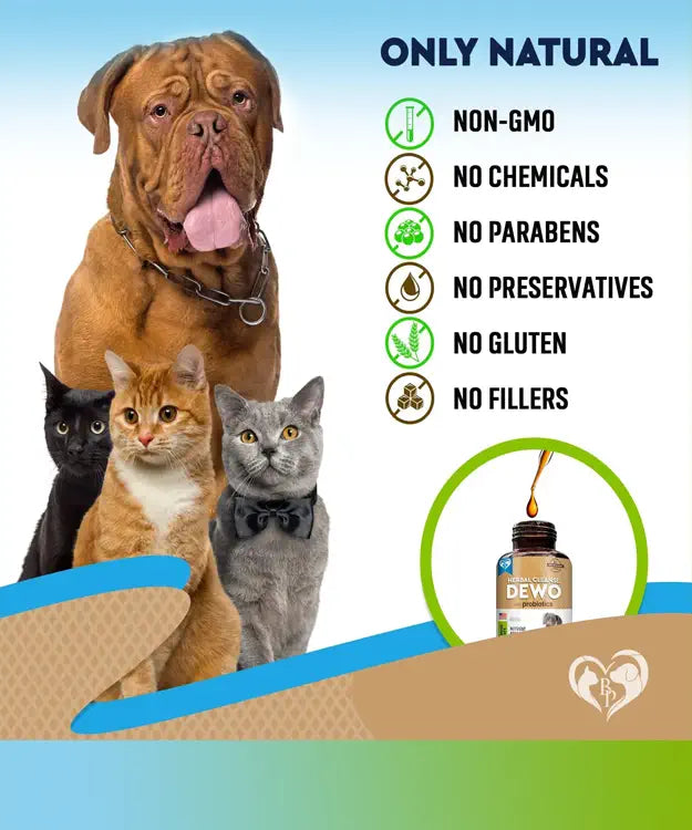 Dog and cats with a bottle of dewormer, highlighting natural pet care benefits.