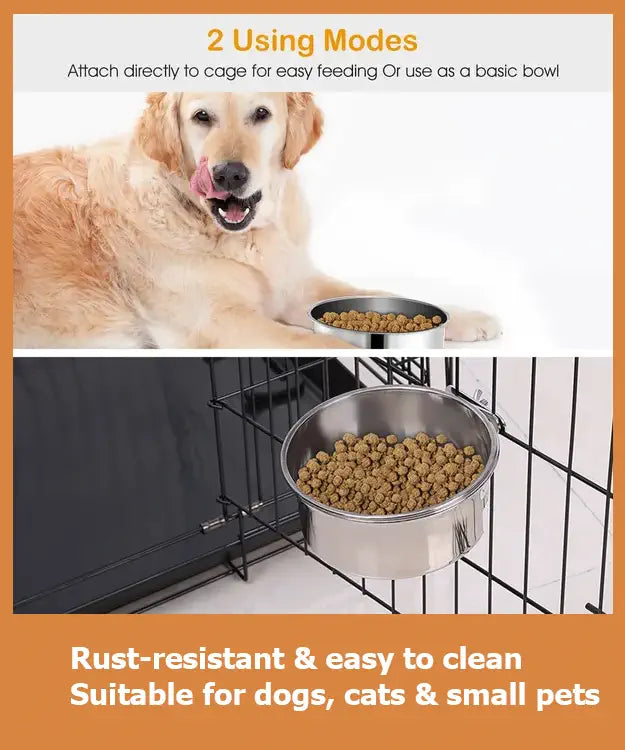 Dog using a rust-resistant metal bowl with text about its uses and features.