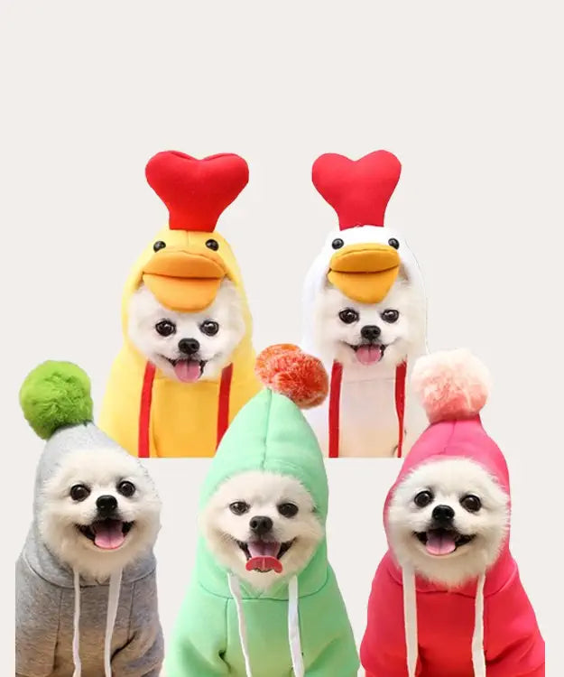 Five dogs wearing colorful animal-themed costumes on a white background