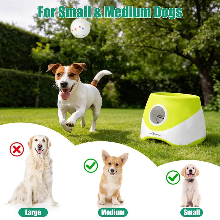 Dog running on grass with a green and white pet product, surrounded by images of dogs of different sizes.