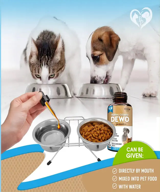 Pet bowls, a bottle of dewormer, and a hand pouring liquid into a bowl on a white background.