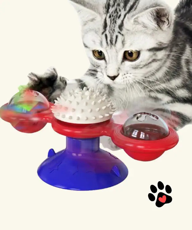 Cat playing with a colorful spinning toy on a white background