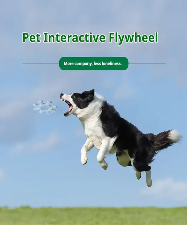 Dog flying through the air with text 'Pet Interactive Flywheel' and 'More company, less loneliness.'
