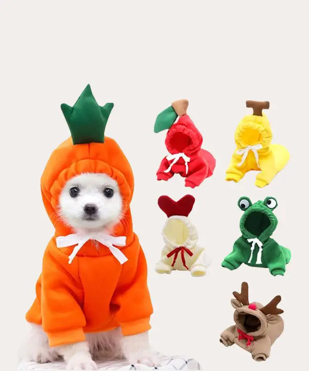 Dog in an orange carrot costume with other animal-themed costumes displayed.
