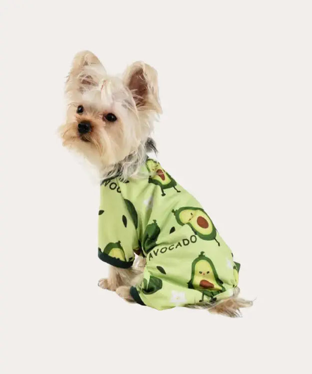 Dog wearing an avocado-themed outfit on a white background