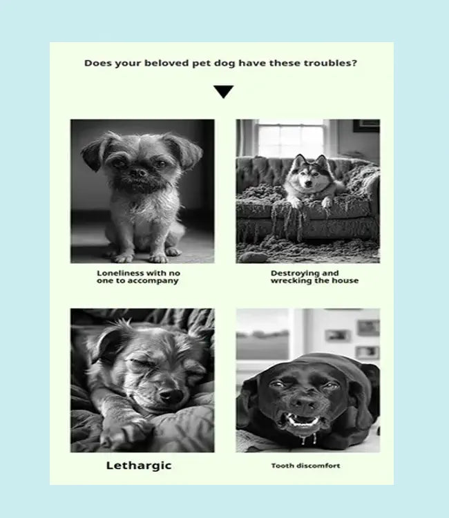 Comic strip with four panels showing dogs with different issues and text about pet troubles on a light blue background.