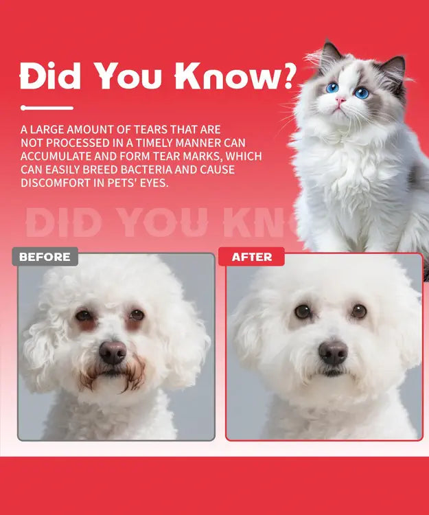Before and after comparison of a dog's eyes with text about tear marks on a red background.