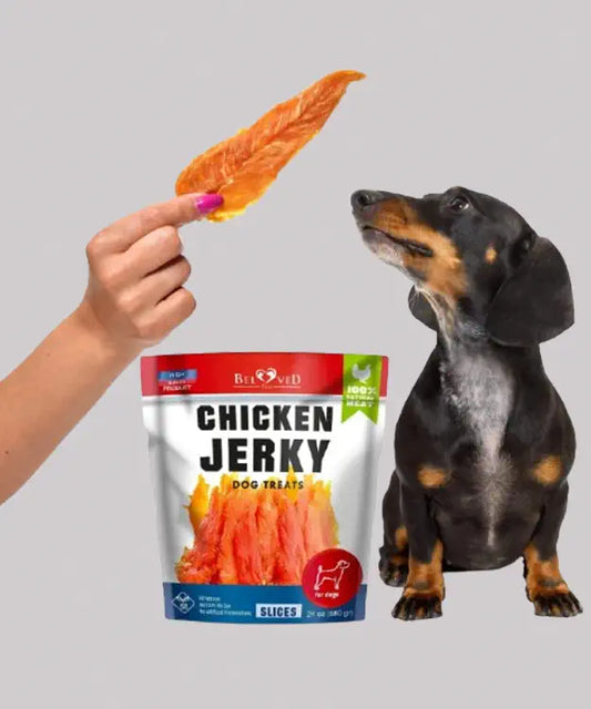 Dog treat package with a piece of chicken jerky held by a hand and a dog looking at it.
