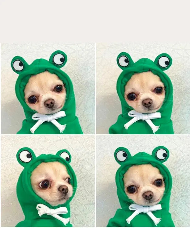 Dog wearing a green frog costume with large eyes on a white background